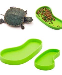 Abreuvoir et mangeoire pour tortue terrestre en forme de pied vert