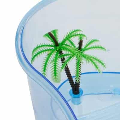 aquarium tortue avec palmier