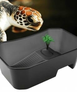 Bac a Tortue d Eau Transparent Avec Plateforme couleur noire et tortue aquatique qui regarde