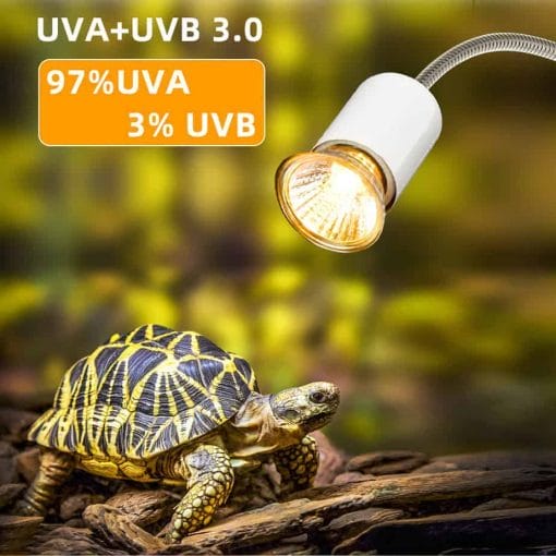 Ampoule pour lampe UV et Chauffante pour Tortue