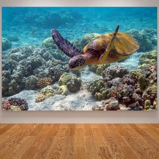 photo de tortue de mer géante qui nage paisiblement à travers les coraux