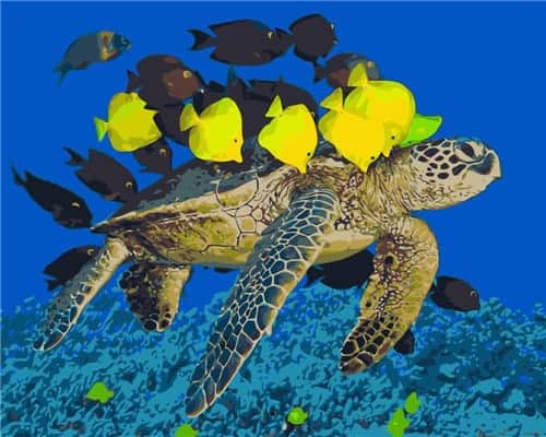 Une tortue et ses poissons jaunes