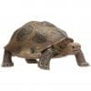 tortue en plastique hermann