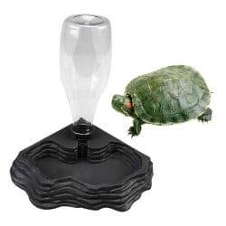 La tortue et son distributeur d'eau