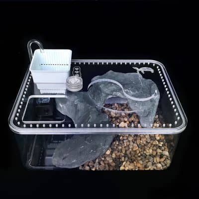 Aquarium pour tortue avec pompe à eau intégrée