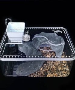 Aquarium pour tortue avec pompe à eau intégrée