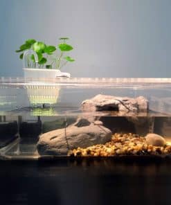 Aquarium pour tortue d'eau avec pompe à eau intégrée