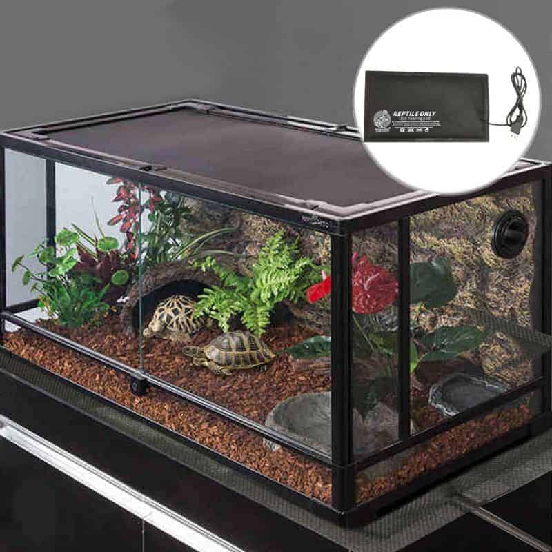 Terrarium de tortue avec un coussin chauffant