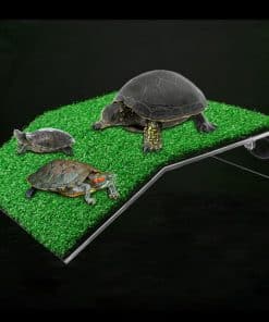 3 tortues sur une plateforme d'herbe