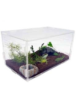 enclos pour tortue terrestre avec feuillage