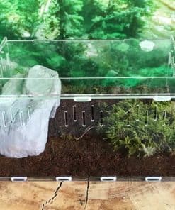 Enclos pour tortue terrestre