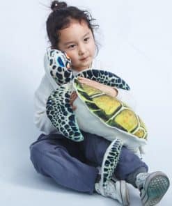 fillette caline une peluche tortue de mer