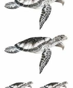 tatouage tortue de mer éphémère
