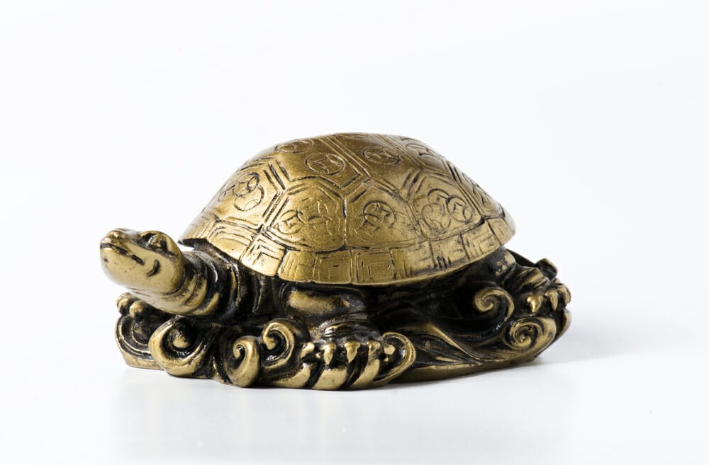 talisman tortue animal totem