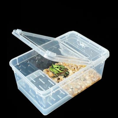 terrarium tortue pour transport