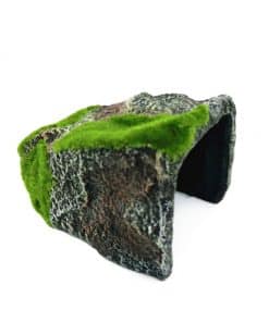 cachette petite pour testudine