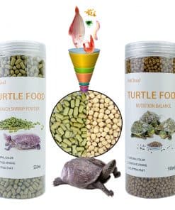 vitamines pour chélonien