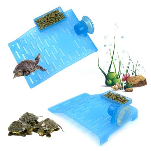 plateforme flottante pour aquarium tortue