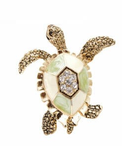 broches tortue