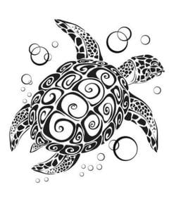 tatouage tortue maorie