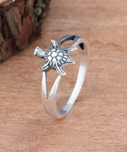 mini totem tortue