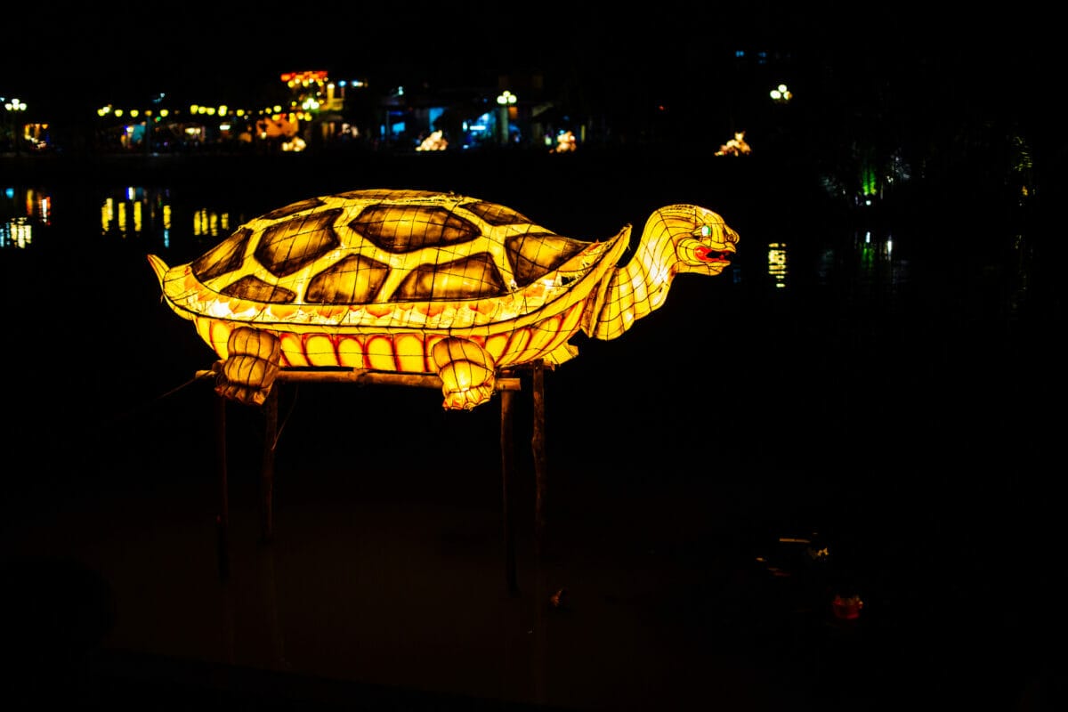 Tortue géante illuminée dans la nuit