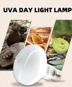 Ampoule Chauffante UVA UVB pour Tortue avec Thermostat