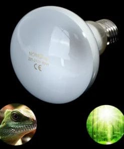 Lampe UVA UVB 50W Spectre Complet pour Tortue avec Variateur