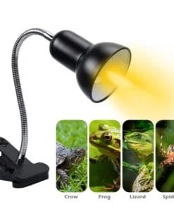 Support de Lampe Chauffante UVA UVB Rotative pour Tortue 220V