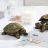 Grande tirelire tortue forme XXL bocal epargne