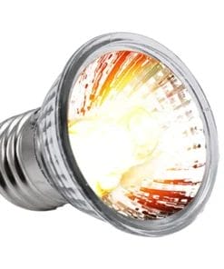 Lampe LED UVB 3W Compacte pour Tortue E27