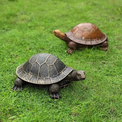Boite a bagues tortue bois grave mini velours