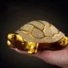 Tirelire tortue de mer resine decorative adulte